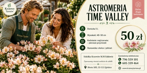 Astromeria Time Valley