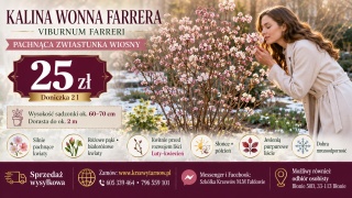 KALINA WONNA FARRERA