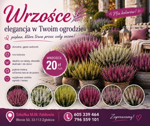 Wrzośce
