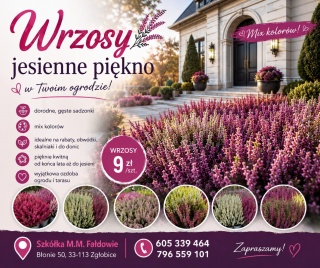 Wrzosy
