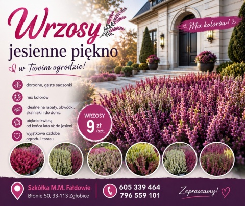 Wrzosy